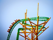 CHEETAH HUNT