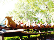 Flight of the Hippogriff