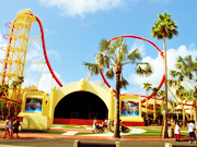 Hollywood Rip Ride Rockit