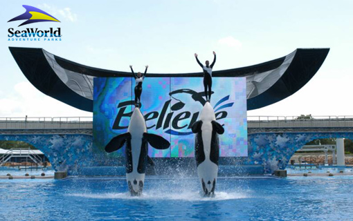 Sea World